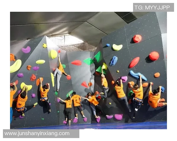 上海攀岩队区域防守分析与战术调整探讨