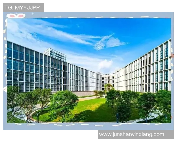 深圳排球队的速度之美与技术解析：排球运动的魅力与发展探讨