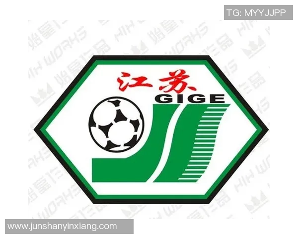 南京足球队在全国耐力排行榜中荣获第五名展现出强大实力与潜力